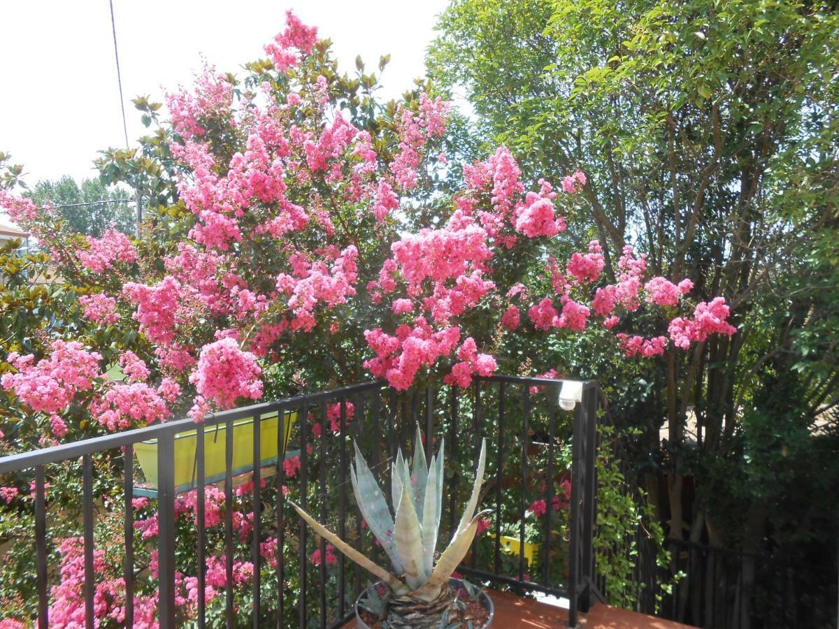 Maison Monica Exeptionnel-Jardin Paysage Zen Coursan Dış mekan fotoğraf