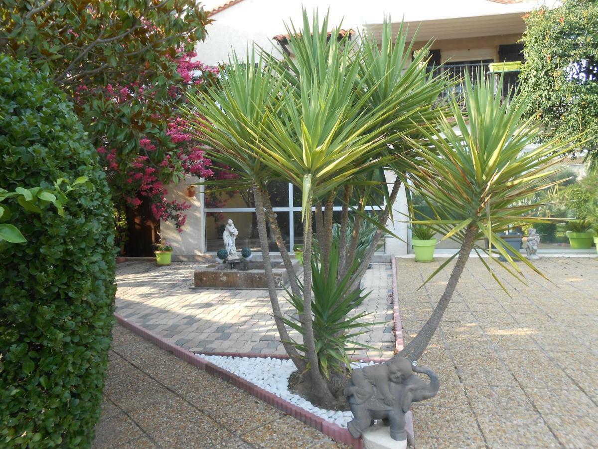 Maison Monica Exeptionnel-Jardin Paysage Zen Coursan Dış mekan fotoğraf